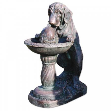 Dog at Fountain